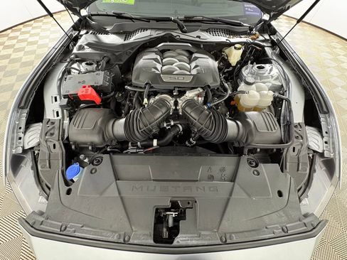 Certified 2025 Ford Mustang GT w/ Mustang Nite Pony Package RWD image 31