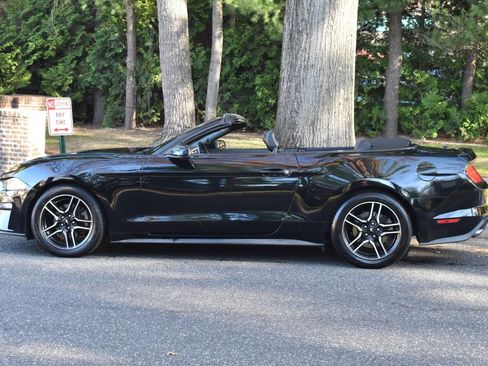 Used 2019 Ford Mustang Premium image 4