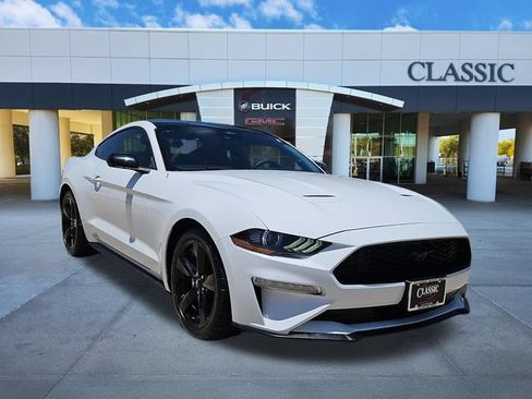 Used 2023 Ford Mustang Premium w/ Mustang Nite Pony Package RWD image 1