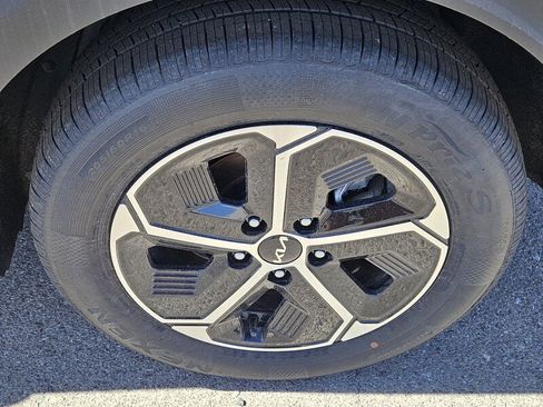 New 2025 Kia Niro EX image 5