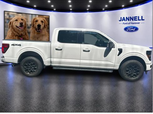 Used 2024 Ford F150 XLT w/ Equipment Group 302A MID AWD/4WD image 4