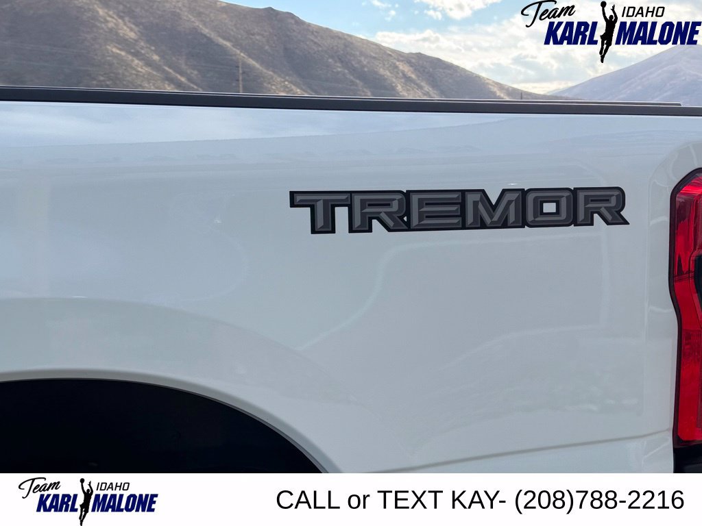 Used 2025 Ford F350 Platinum w/ Tremor Off-Road Package AWD/4WD image 48