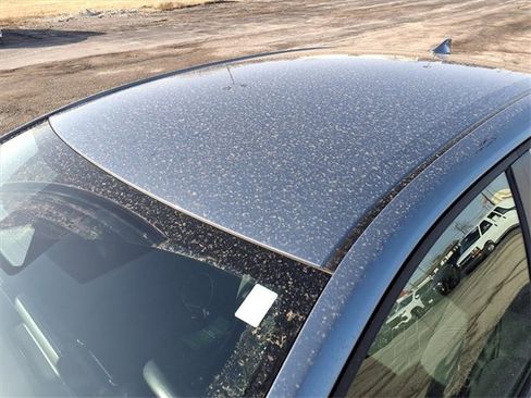 Used 2025 Toyota Corolla LE image 44