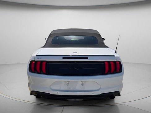 Used 2021 Ford Mustang Premium w/ Equipment Group 201A RWD image 4