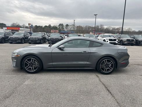 Used 2022 Ford Mustang EcoBoost w/ Equipment Group 101A image 5