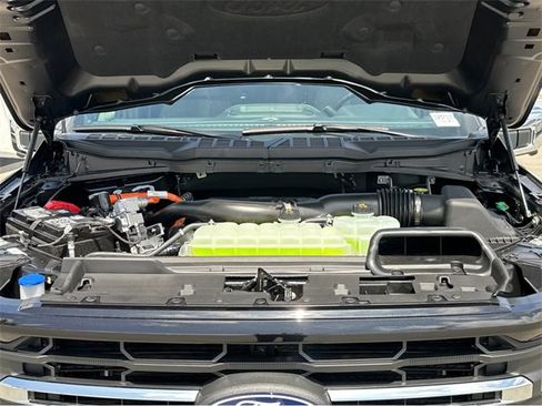 New 2025 Ford F150 XLT w/ Equipment Group 302A MID image 41