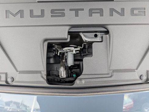 New 2026 Ford Mustang Coupe w/ Mustang Nite Pony Package RWD image 15