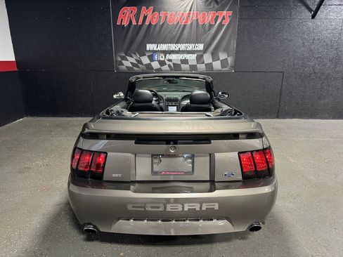 Used 2001 Ford Mustang Cobra image 5