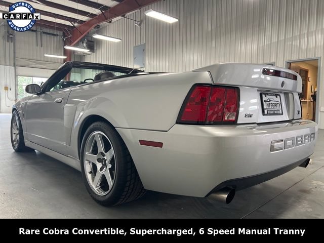 Used 2004 Ford Mustang Cobra RWD image 6