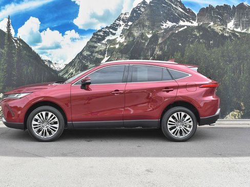 Certified 2024 Toyota Venza Limited image 7