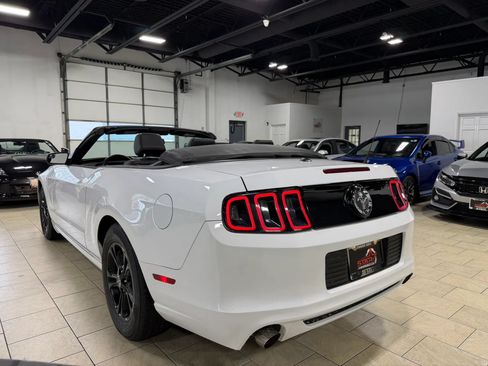 Used 2014 Ford Mustang Premium RWD image 4