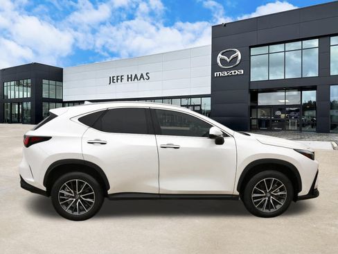 Used 2024 Lexus NX 350h AWD image 5