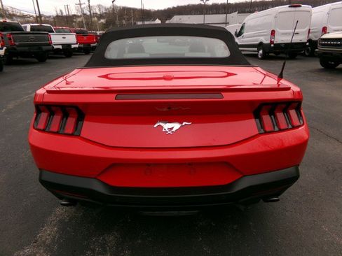 Used 2024 Ford Mustang Premium image 9