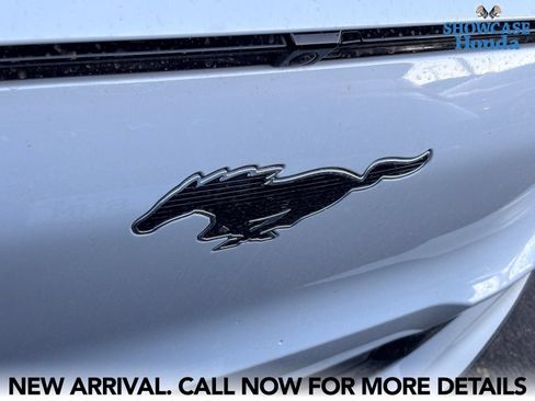 Used 2021 Ford Mustang Mach-E Premium AWD/4WD image 9