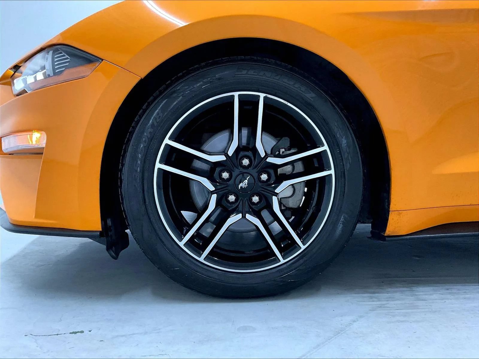 Used 2018 Ford Mustang Coupe RWD image 37