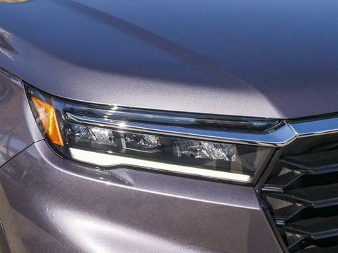 Used 2024 Honda Pilot Elite image 4