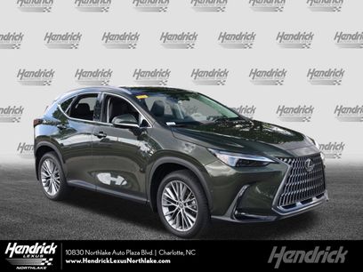 Used 2025 Lexus NX 350h AWD w/ Cold Area Package