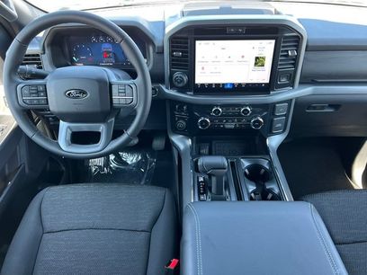 New 2026 Ford F150 XLT w/ Equipment Group 302A MID