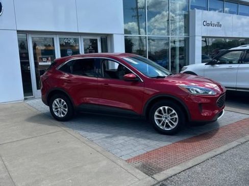 Used 2020 Ford Escape SE AWD/4WD image 5