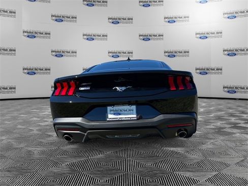 New 2025 Ford Mustang Coupe image 4