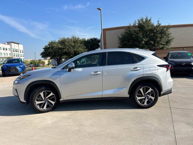 Used 2019 Lexus NX 300h AWD w/ Premium Package image 6