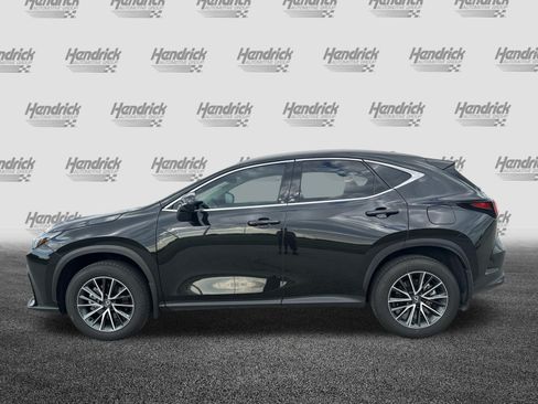 Certified 2025 Lexus NX 350 AWD w/ Cold Area Package image 7