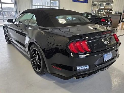 Used 2019 Ford Mustang GT Premium w/ Equipment Group 401A image 5