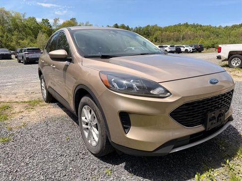 Used 2020 Ford Escape SE AWD/4WD image 9
