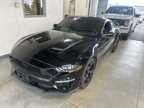 Used 2021 Ford Mustang Coupe RWD image 2