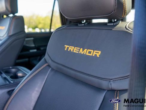 Used 2025 Ford Expedition Tremor AWD/4WD image 21
