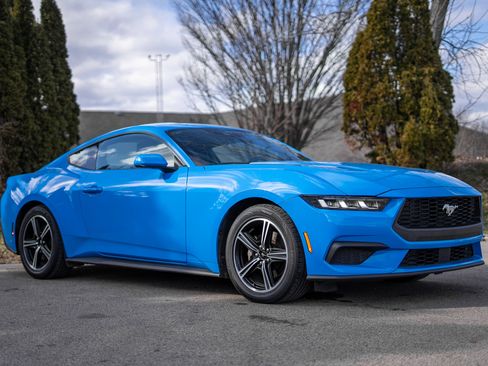 Used 2024 Ford Mustang EcoBoost image 3