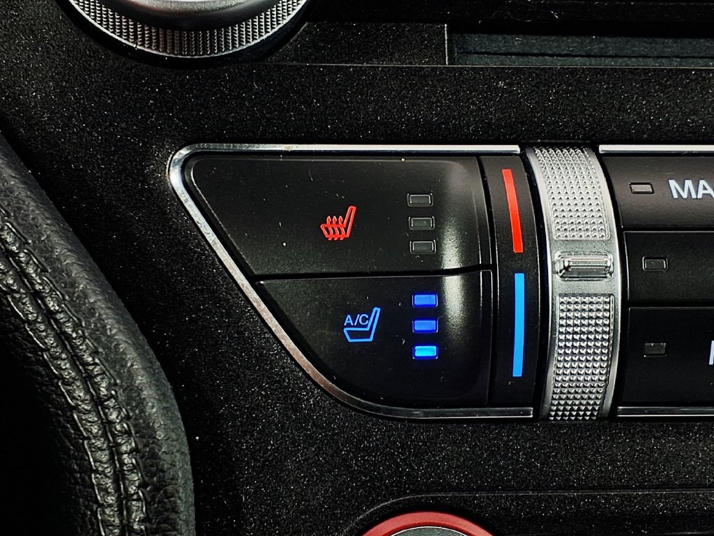 Used 2019 Ford Mustang GT Premium w/ Equipment Group 401A RWD image 17