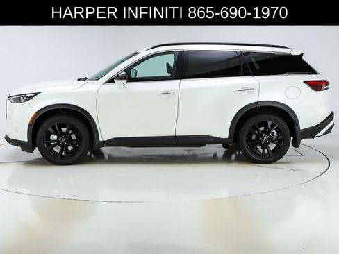 Used 2025 INFINITI QX60 Luxe w/ Black Edition image 43