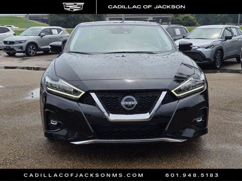 Used 2023 Nissan Maxima Platinum w/ Sport Mat Group FWD image 2