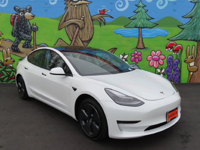 Used 2022 Tesla Model 3 RWD image 1