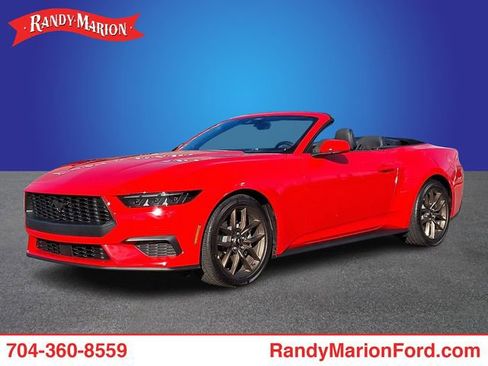 New 2026 Ford Mustang Convertible w/ Bronze Appearance Package image 1