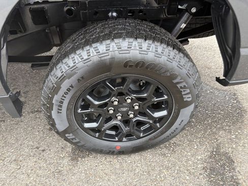 New 2026 Ford F150 XLT w/ XLT Black Appearance Package image 13