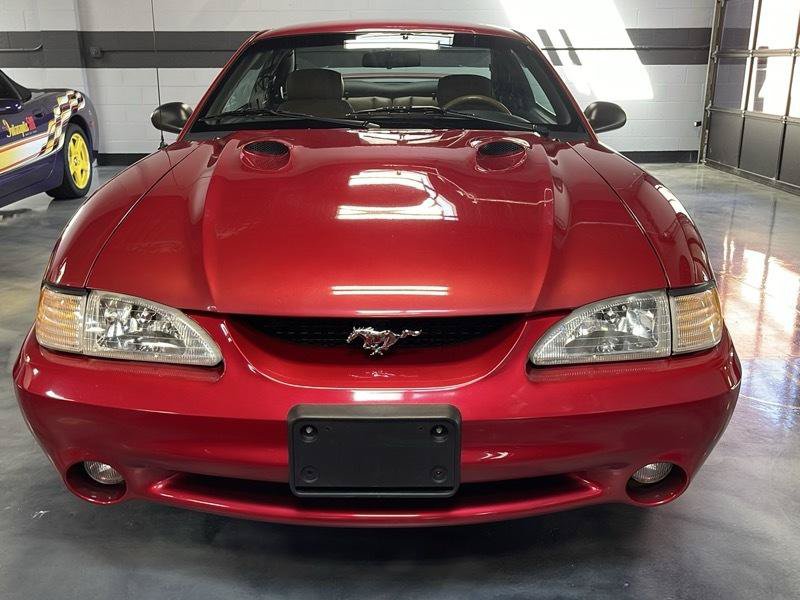 Used 1996 Ford Mustang Cobra RWD image 5