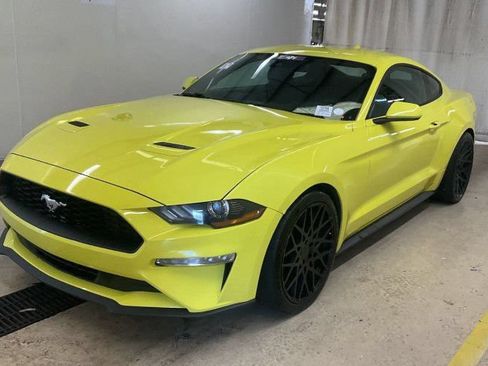 Used 2021 Ford Mustang Coupe w/ Equipment Group 101A RWD image 1