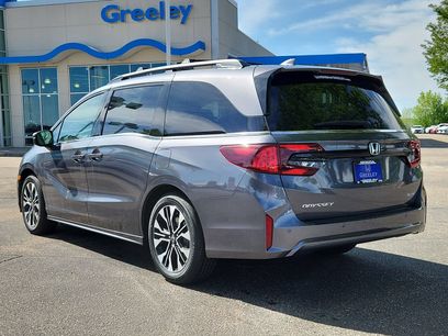 New 2026 Honda Odyssey Elite