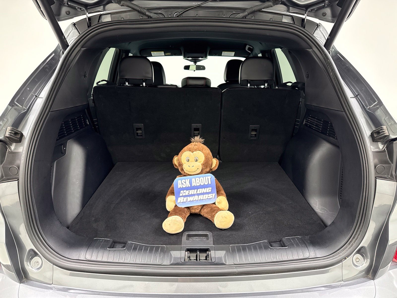 Used 2024 Ford Escape ST-Line w/ Tech Pack #1 FWD image 12