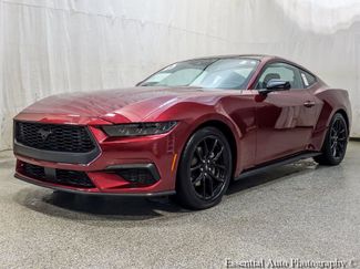 Used 2025 Ford Mustang Premium w/ Mustang Nite Pony Package RWD video 1