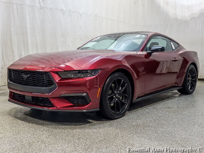 Used 2025 Ford Mustang Premium w/ Mustang Nite Pony Package