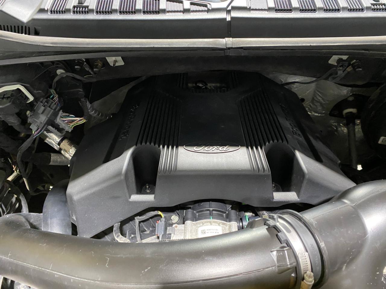 Used 2019 Ford F150 XLT w/ Equipment Group 302A Luxury AWD/4WD image 24