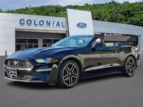 Certified 2023 Ford Mustang Premium image 3