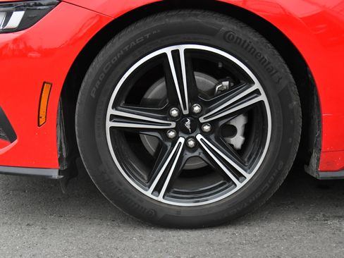 Used 2024 Ford Mustang Premium image 12