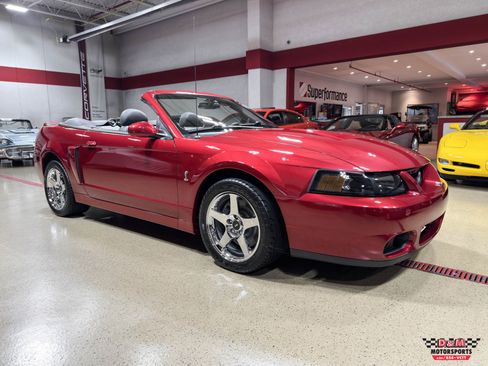 Used 2003 Ford Mustang SVT Cobra Convertible RWD image 7