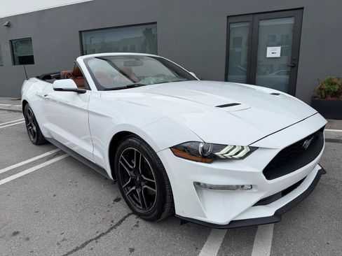 Used 2019 Ford Mustang Premium RWD image 3
