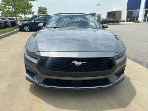 Used 2025 Ford Mustang Premium RWD image 3