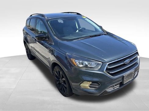 Used 2019 Ford Escape SE AWD/4WD image 11
